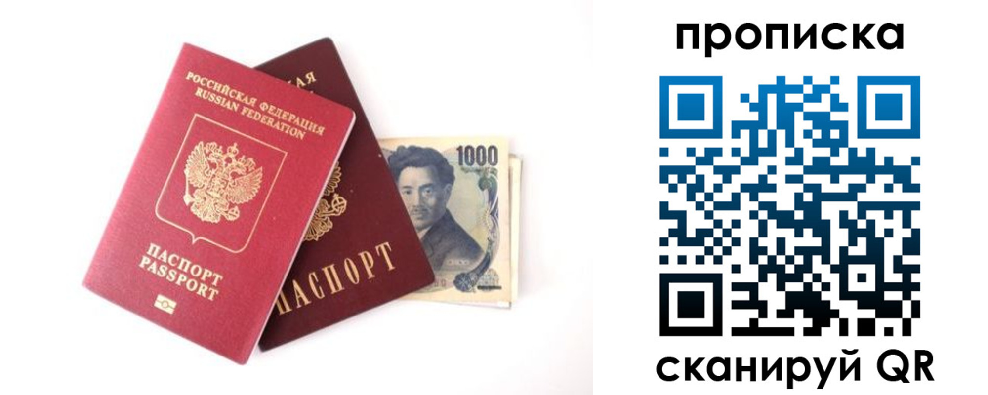 прописка в квартире в Пионерском